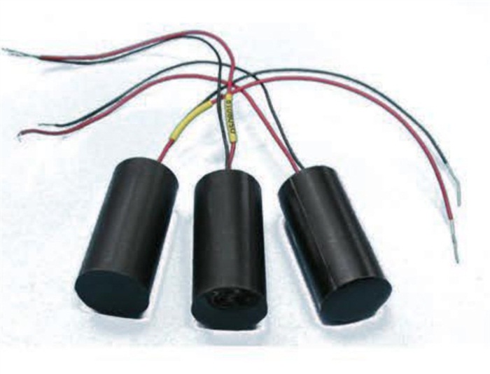 Seismic hydrophone
