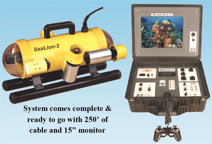 SeaLion-2