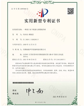Patent